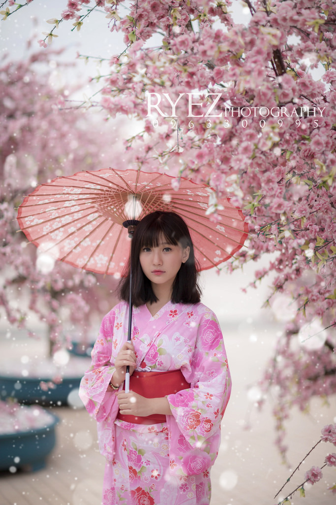 娘道电视剧免费观看